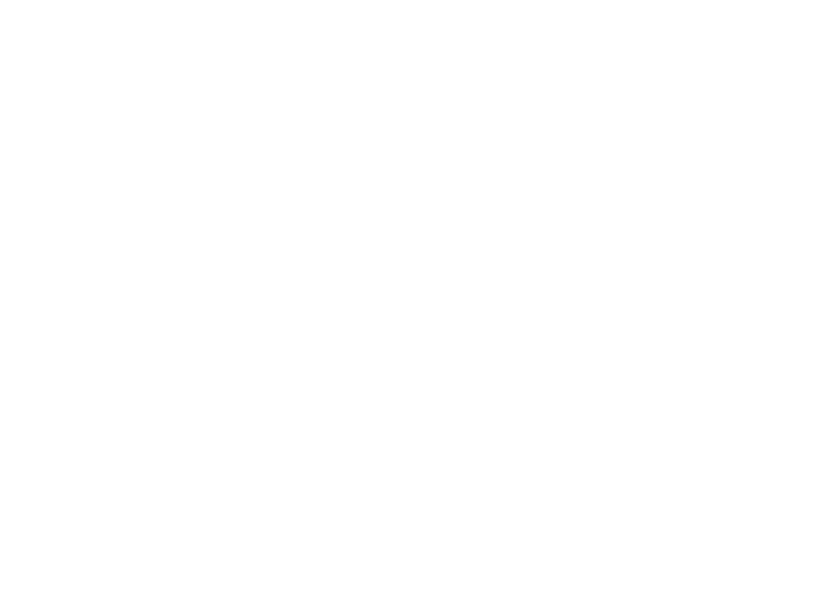 logo SDBIC